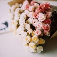 多事的夜之手机