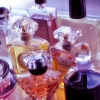 清新静物唯美素材_大自然中的清新静物