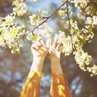 星巴克咖啡唯美图片_一杯浓浓的咖啡