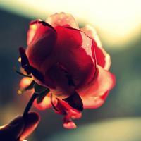 妈妈,女儿许你一世安康