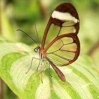 我被鬼压床的那些日子