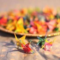 人生是一场见证，很多事情，有太多的情不得已