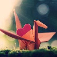 有痕风月，无声离别