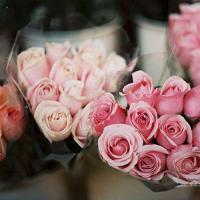 如花美眷，似水流年。