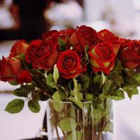 流年辗转，墨痕轻逝