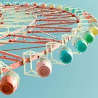 单恋是一朵娇美的花