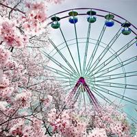 穆北安：嚣张的喜欢