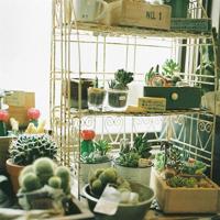 描写春夏秋冬的美文摘抄