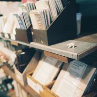 纵使相逢不相识