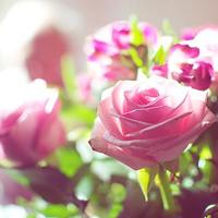 爱情就像WiFi信号看不见摸不着