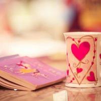 宠物店之猴面鹰