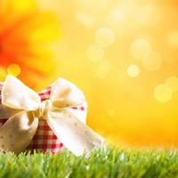 一朵芙蓉着秋雨