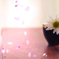 非常浪漫爱情短信2011