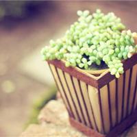 一封寄往天堂的信