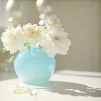 张爱玲的最新经典爱情语句