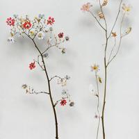 青春散场我们不散的生活感悟语录:青葱年少岁月已渐行渐远