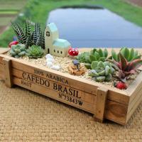 正能量的句子经典语句,励志的句子致自己简短