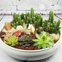 夜安几许飞花度,凉风入梦枕边书