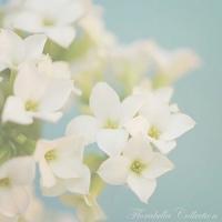 你抓紧点 ,这乌龟好快