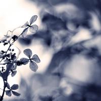 大人、孩子没一个着调的