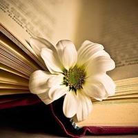 6元与上万元是等价的