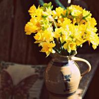 有关母爱赞歌的散文