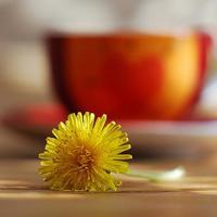 人生只是一道茶的时间