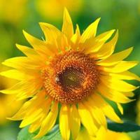 手上青春已剩很少