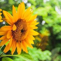 请让我像亲人一样爱你