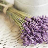 你可曾记得那回不去的曾经