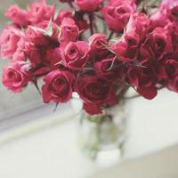 岁月静好，淡然前行