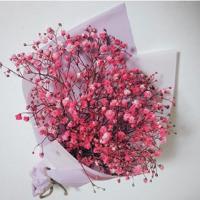 知道自己要怎样前往何处