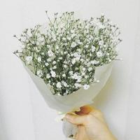 为了一个春天（组诗）