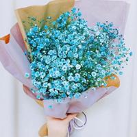 探灵之女孩的哭声