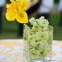 小姐自述 小雪小柔两个大校花7部分