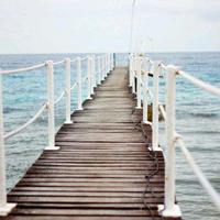 正能量的句子经典语句,读完热血沸腾