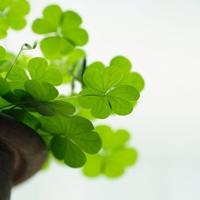 厕所里的长头发