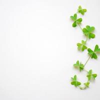 时间过去了，就不会回来，不要忘记那些曾经拥