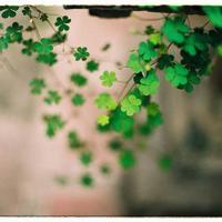 相信明天会更好的说说心情语录:后来,我们什么也不是了