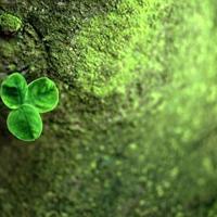 也许,不仅仅是擦肩而过