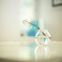 多管闲事多吃屁，少管闲事少拉稀。