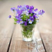 美国大学毕业典礼上的经典语录