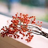 唯美伤感星空文字图片_该给的我都给你了