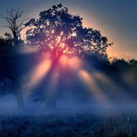 给爱情最后一次回头的机会