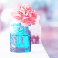 春染花香的诗意