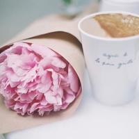 学校鬼故事:鬼友