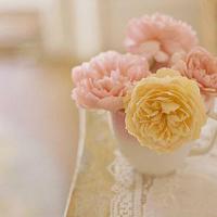 独特的“餐肉“