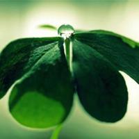 紫陌红尘,谁丰盈了我岁岁年年的守望