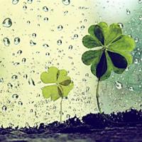 鱼在波涛下微笑