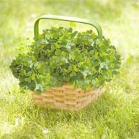 窗户玻璃上的血手印